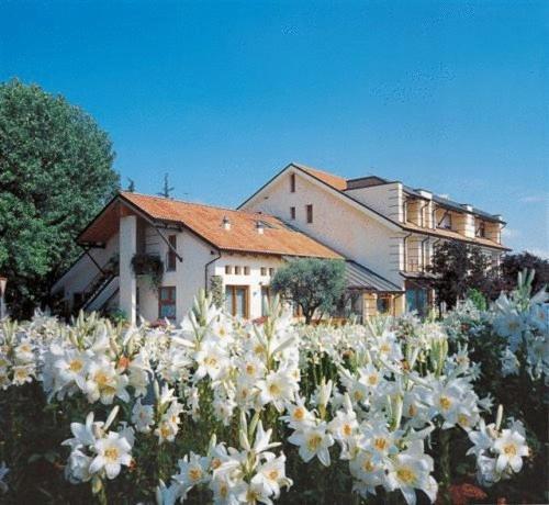 Hotel Ca' Delle Rose Castelfranco Veneto Zewnętrze zdjęcie